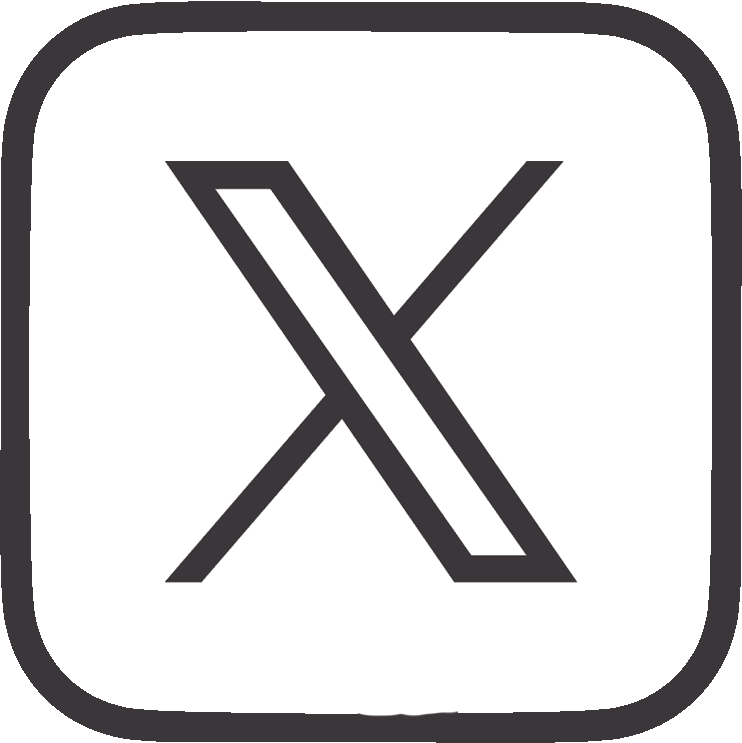 X Icon